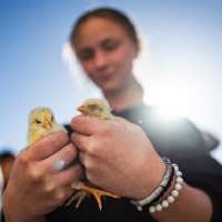 Getting their hands dirty: How Utah ag education is bridging the digital divide