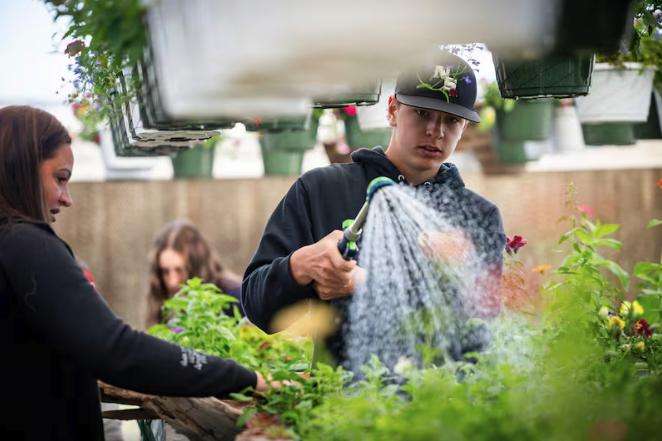 North Summit High School student Weston Preator, 15, waters flowers during a greenhouse class as part of the agriculture program in the school's chapter of the National FFA Organization at North Summit High School in Coalville on Wednesday.