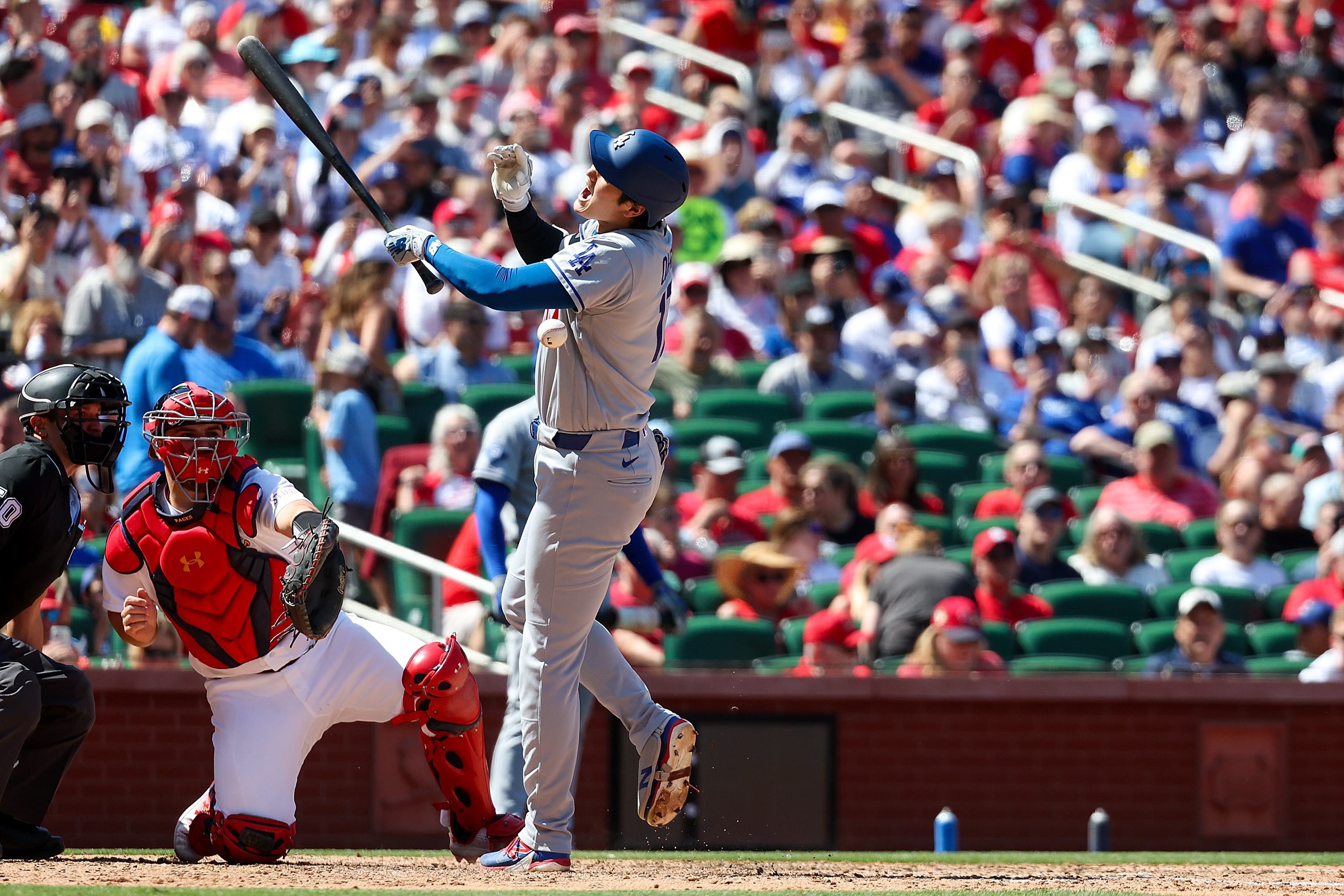 Los Angeles Dodgers' Shohei Ohtani is hit by during the seventh inning of a baseball game against the St. Louis Cardinals, Sunday, May 3, 2026, in St. Louis. 