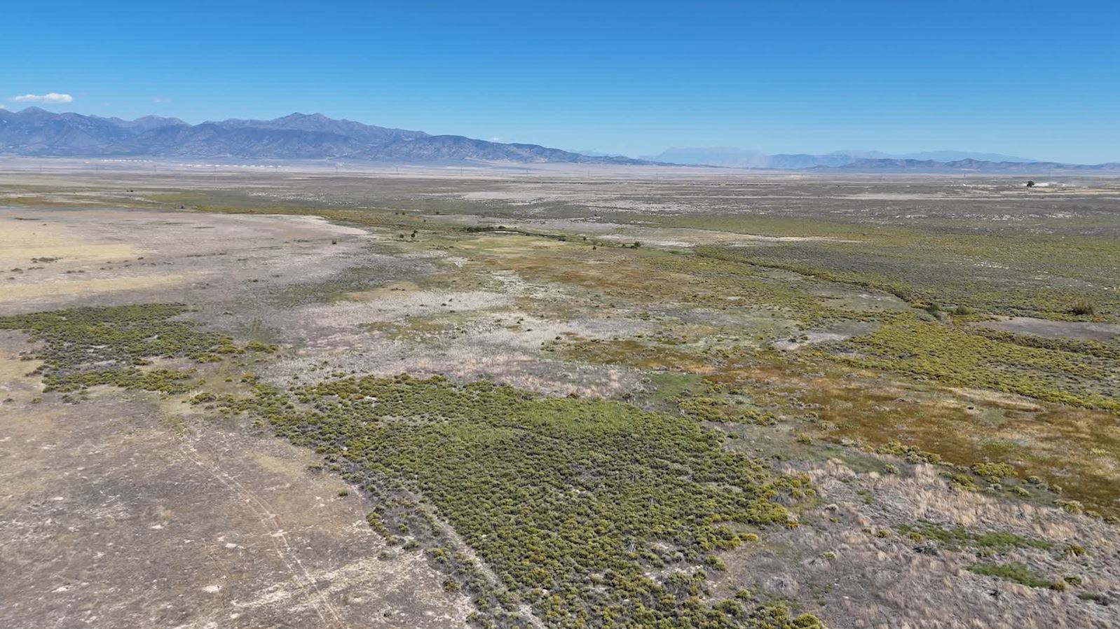 Improvements for Wildlife at Neglected "Oasis in the Desert"