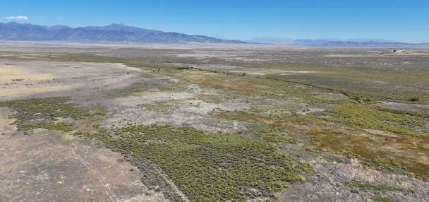 Improvements for Wildlife at Neglected "Oasis in the Desert"