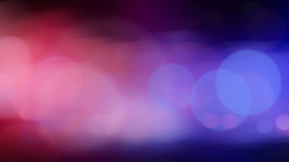 The Yavapai County Sheriff's Office in Arizona says a bobcat believed to have been involved in multiple attacks in the Prescott area was killed by a dog Monday morning.