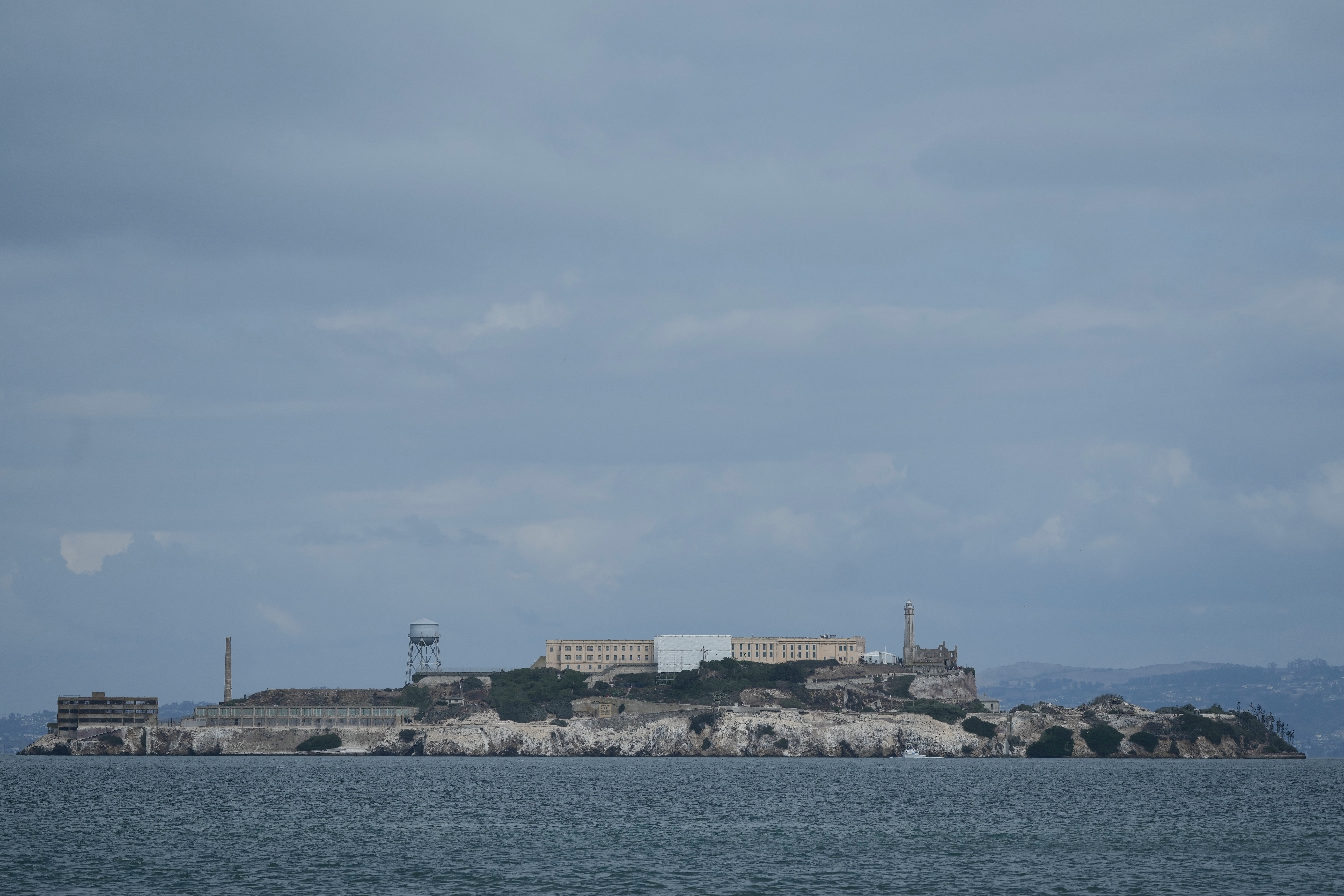 Male coyote swam 2 miles to Alcatraz Island, twice as far as biologists had expected