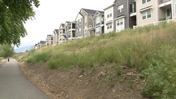 Vineyard park listed for auction due to unpaid property taxes