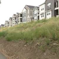 Vineyard park listed for auction due to unpaid property taxes