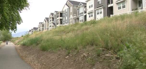 Vineyard park listed for auction due to unpaid property taxes