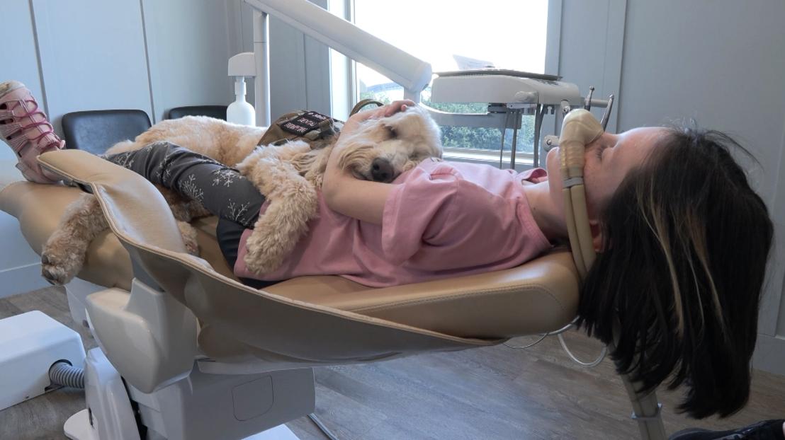 Remi Wahlstrom cuddles with Molly during a dentist visit. Anxious patients are being coaxed into the chair at the dentist’s office by a new kind of dental assistant, dental therapy dogs.