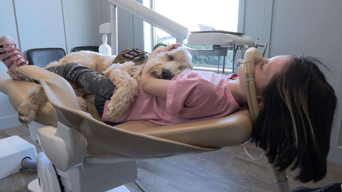 Remi Wahlstrom cuddles with Molly during a dentist visit. Anxious patients are being coaxed into the chair at the dentist’s office by a new kind of dental assistant, dental therapy dogs.