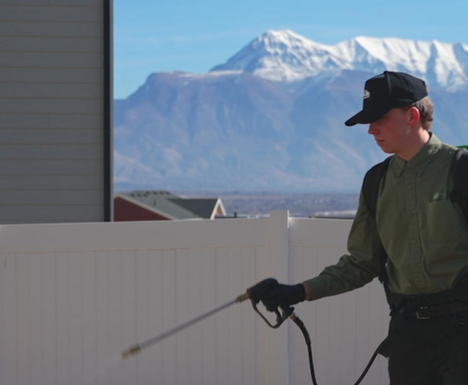 Warm winter, busy summer: How to prepare for a surge in wasp activity