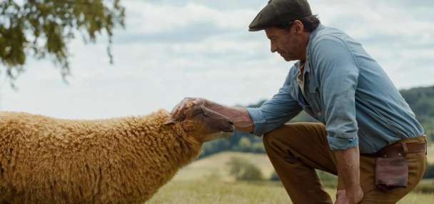 Review: 'The Sheep Detectives' is one of the biggest family movie surprises of the year