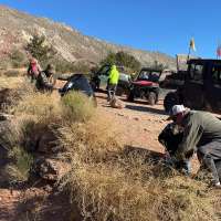 Officials issue public notice to rid yards of 'noxious weeds'