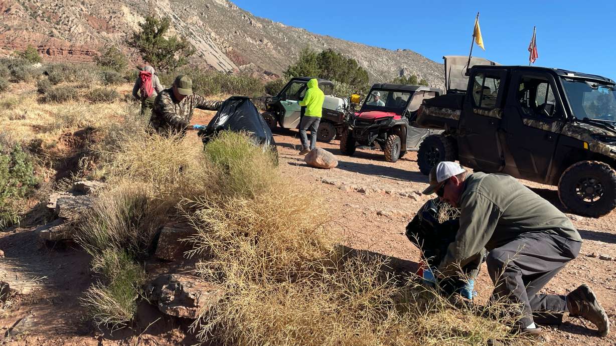 A local hunting group assists in the removal of noxious weeds in southern Utah. Counties across the state are telling property owners to rid yards of noxious weeds, citing the Utah Noxious Weed Act.