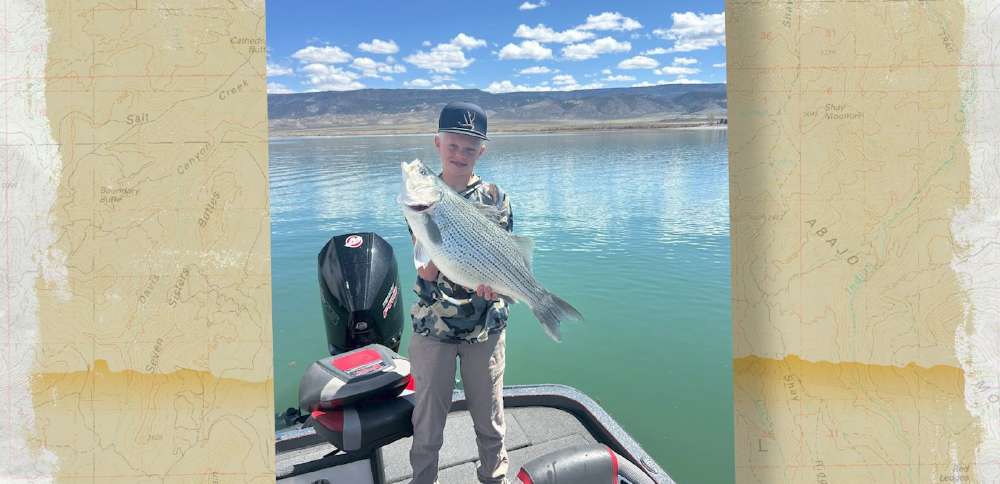 Snapshot of the Week: May 9, 2026