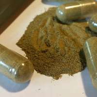 Federal judge rejects challenge to Utah's new kratom regulation law