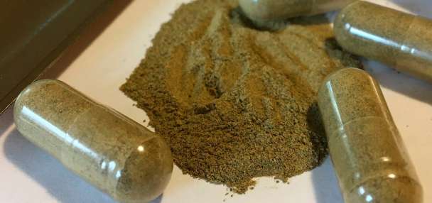 Federal judge rejects challenge to Utah's new kratom regulation law