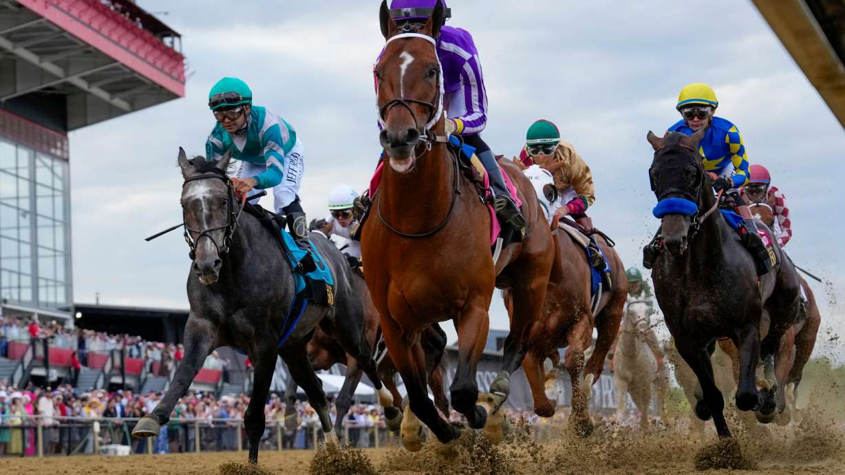 FILE - Jockeys compete during the 150th running of the Preakness Stakes horse race on May 17, 2025, at Pimlico Race Course in Baltimore.