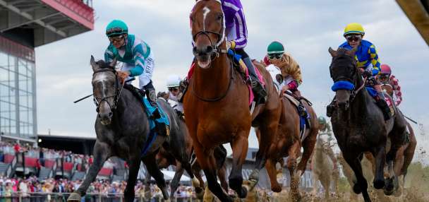 Iron Honor is a slight 9-2 favorite on the morning line for the Preakness