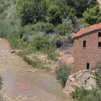 Dog dies after ingesting water in Virgin River; first responders share story and urge vigilance