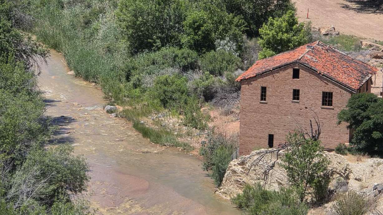 A dog died after ingesting water in the Virgin River in La Verkin on Sunday. First responders share their experience and urge pet owners to be vigilant.