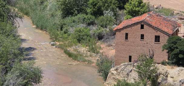 Dog dies after ingesting water in Virgin River; first responders share story and urge vigilance