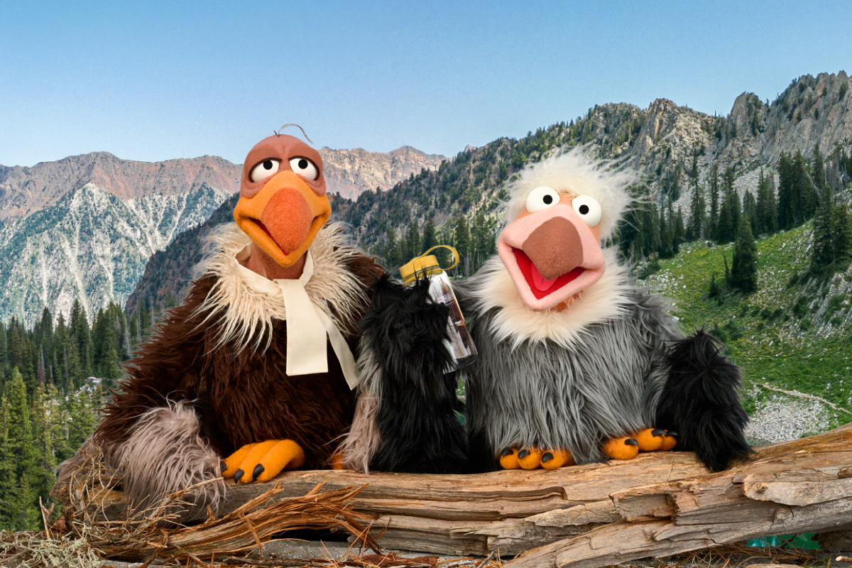 Vultures for safety: The unconventional faces of Utah's new campaign