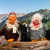 Vultures for safety: The unconventional faces of Utah's new campaign