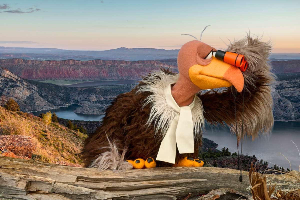 Vultures for safety: The unconventional faces of Utah's new campaign