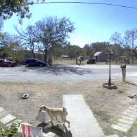 Have You Seen This? Canine thief steals package off porch, vanishes from scene