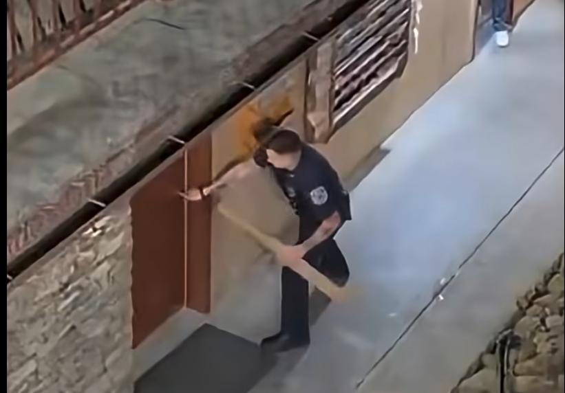 Have You Seen This? Officers free black bear locked in hotel bathroom 