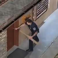 Have You Seen This? Officers free black bear locked in hotel bathroom