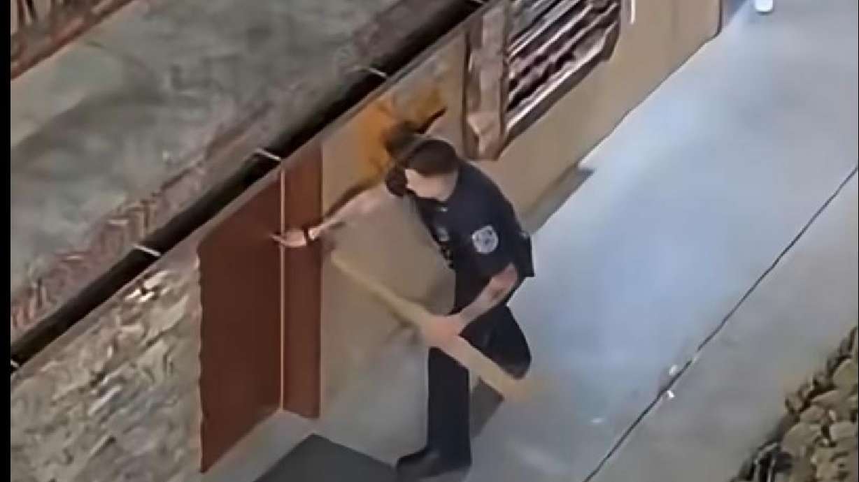 A black bear in Tennessee managed to lock itself in a bathroom at Quality Inn & Suites in Gatlinburg, Tennessee, on May 8.