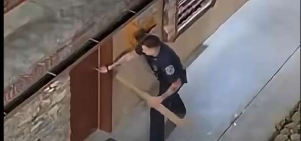 Have You Seen This? Officers free black bear locked in hotel bathroom