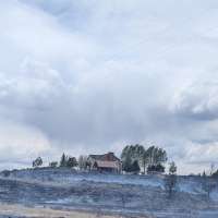Human-caused Grover Fire burns 11 acres in Wayne County