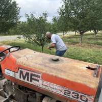 Cox declares state of emergency over late-season freeze that created crop losses