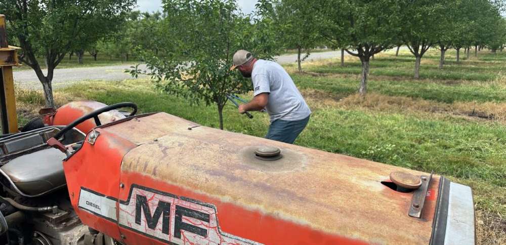 Cox declares state of emergency over late-season freeze that created crop losses