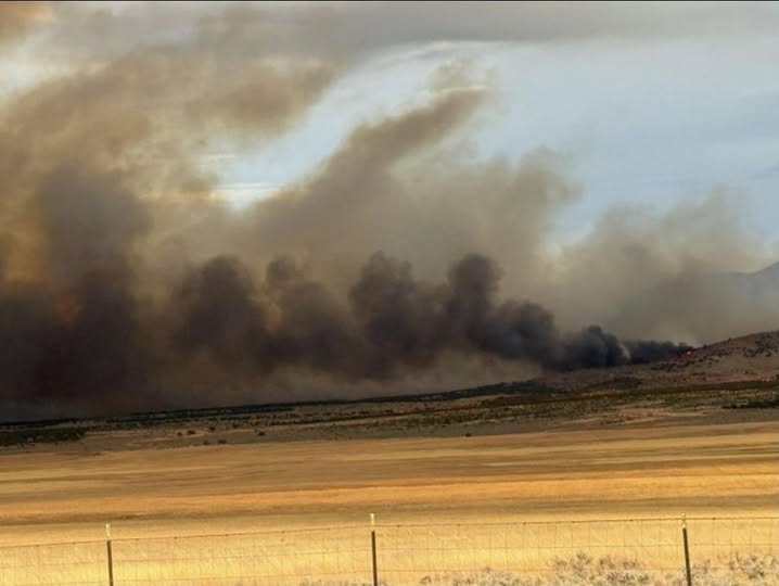 Wild Horse Fire reaches 1,000 acres in Millard County, road closures in effect