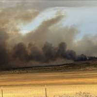 Wild Horse Fire reaches 1,000 acres in Millard County, road closures in effect