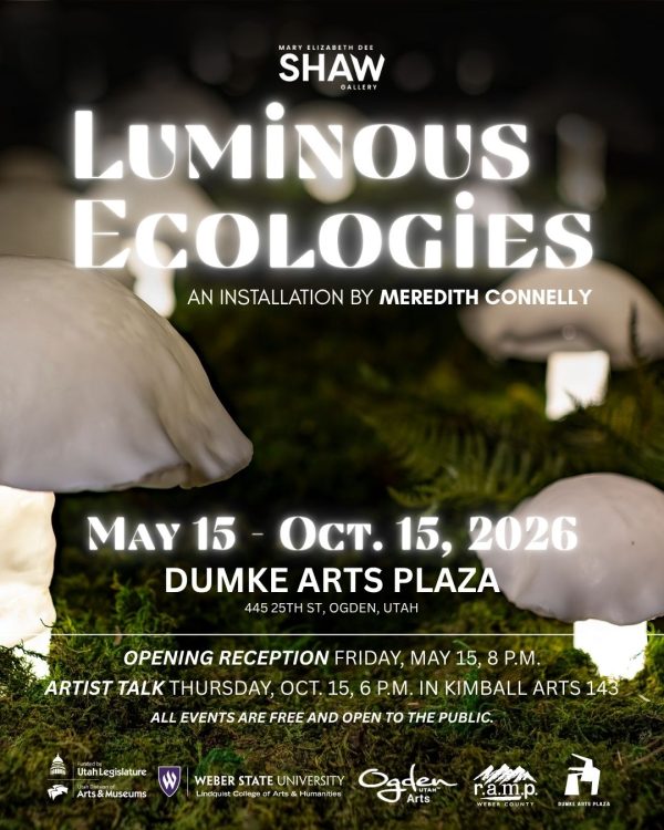Luminous Ecologies: an art installation by Meredith Connelly