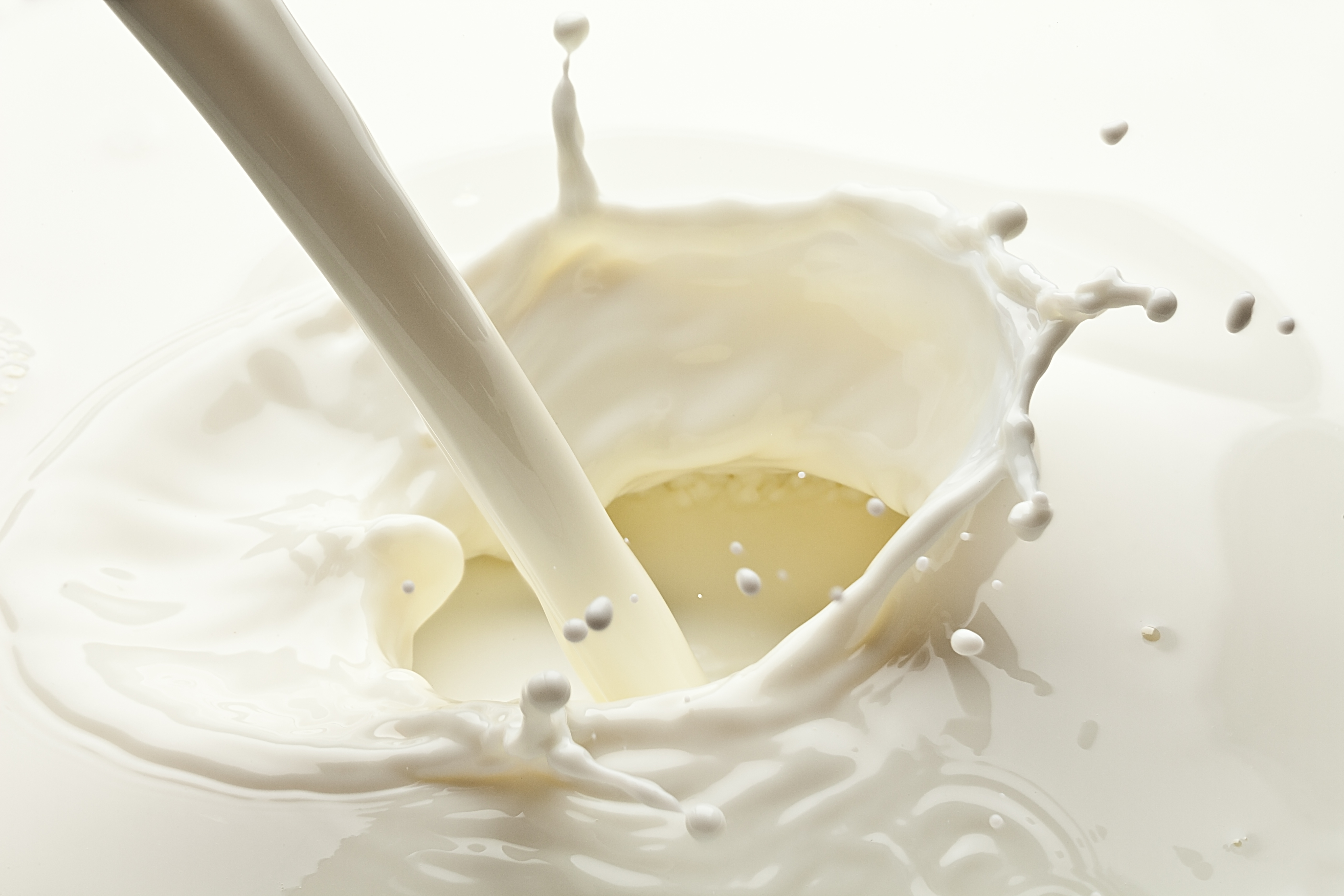 The milk lowdown: Separating fact from fiction in the dairy case