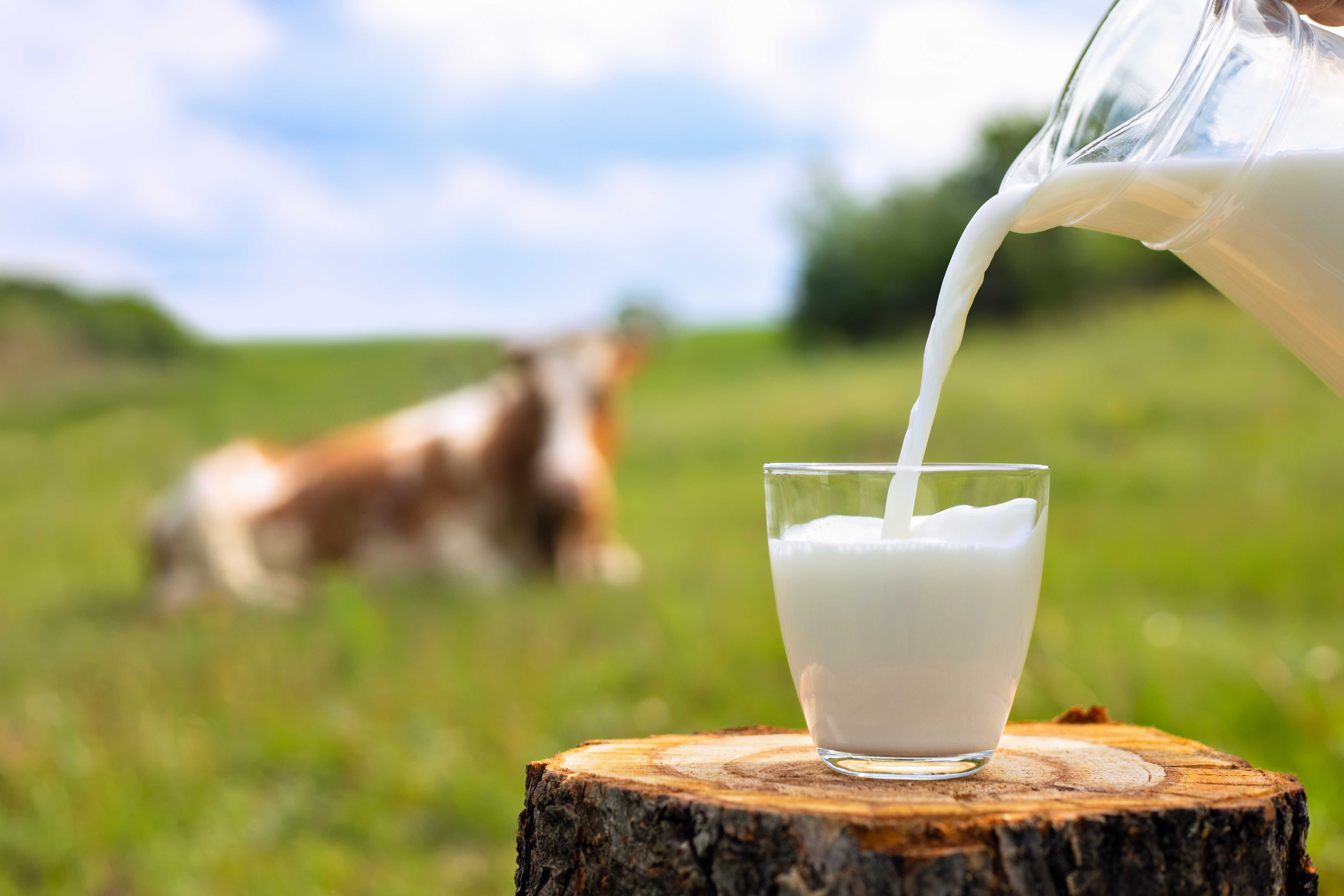 The milk lowdown: Separating fact from fiction in the dairy case