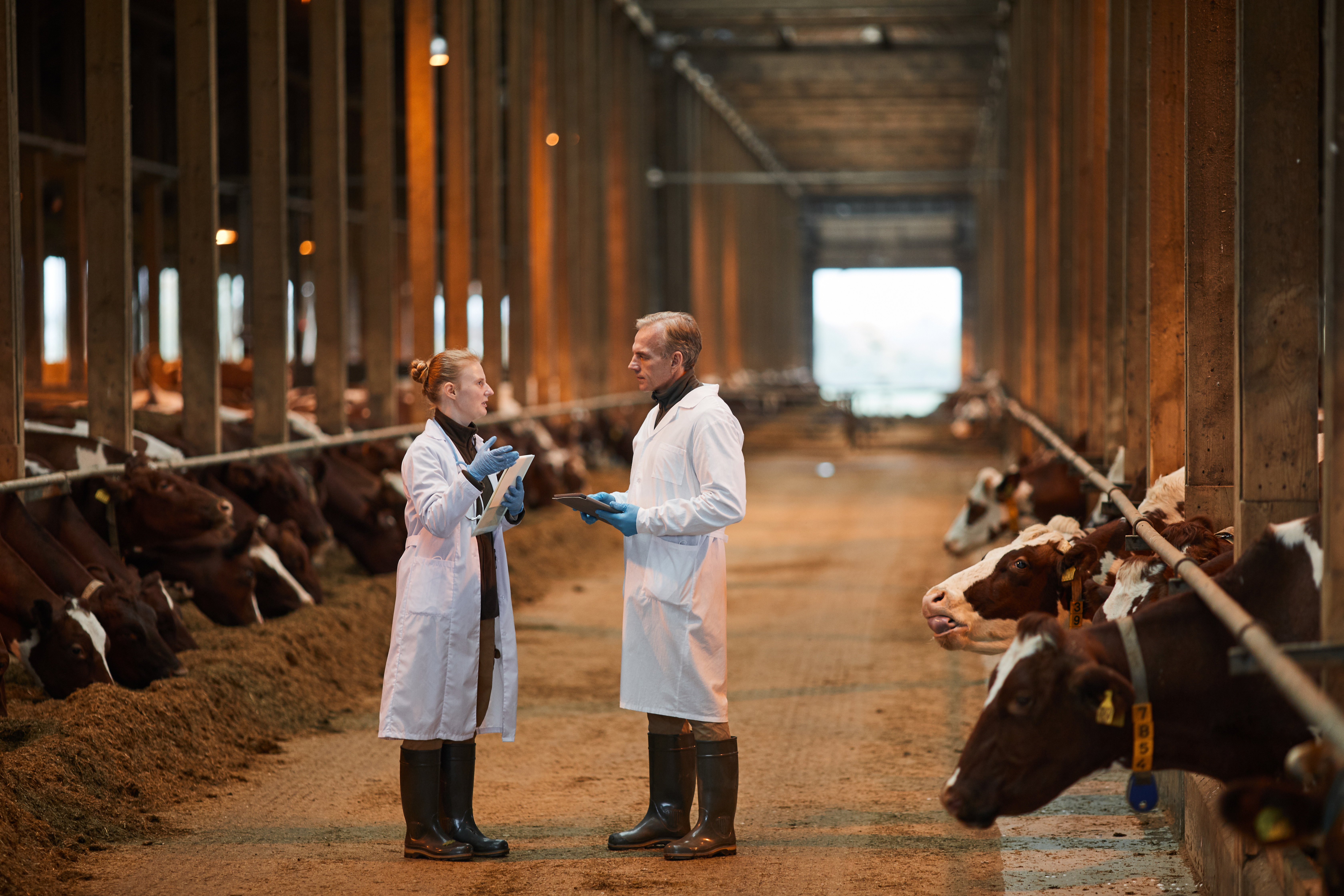The milk lowdown: Separating fact from fiction in the dairy case