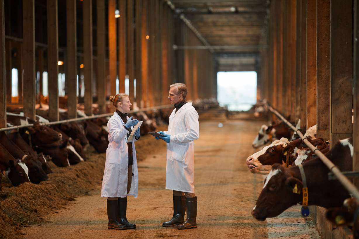 The milk lowdown: Separating fact from fiction in the dairy case