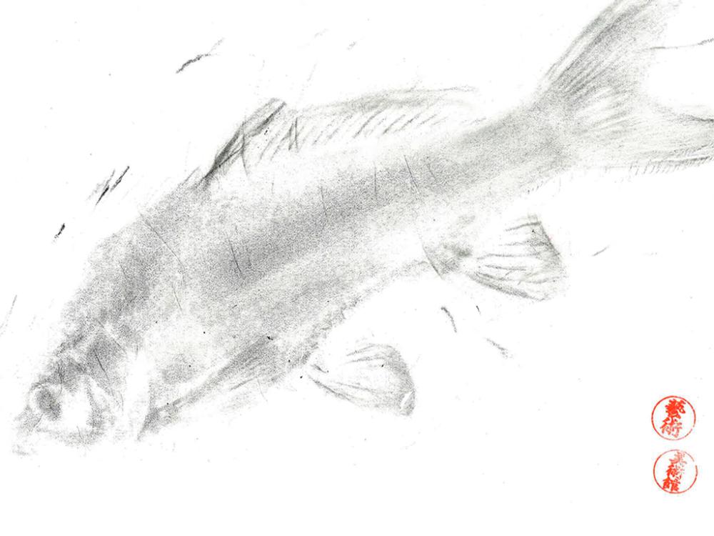 UMFA in the Wild: Gyotaku Fish Rubbings at Willard Bay State Park