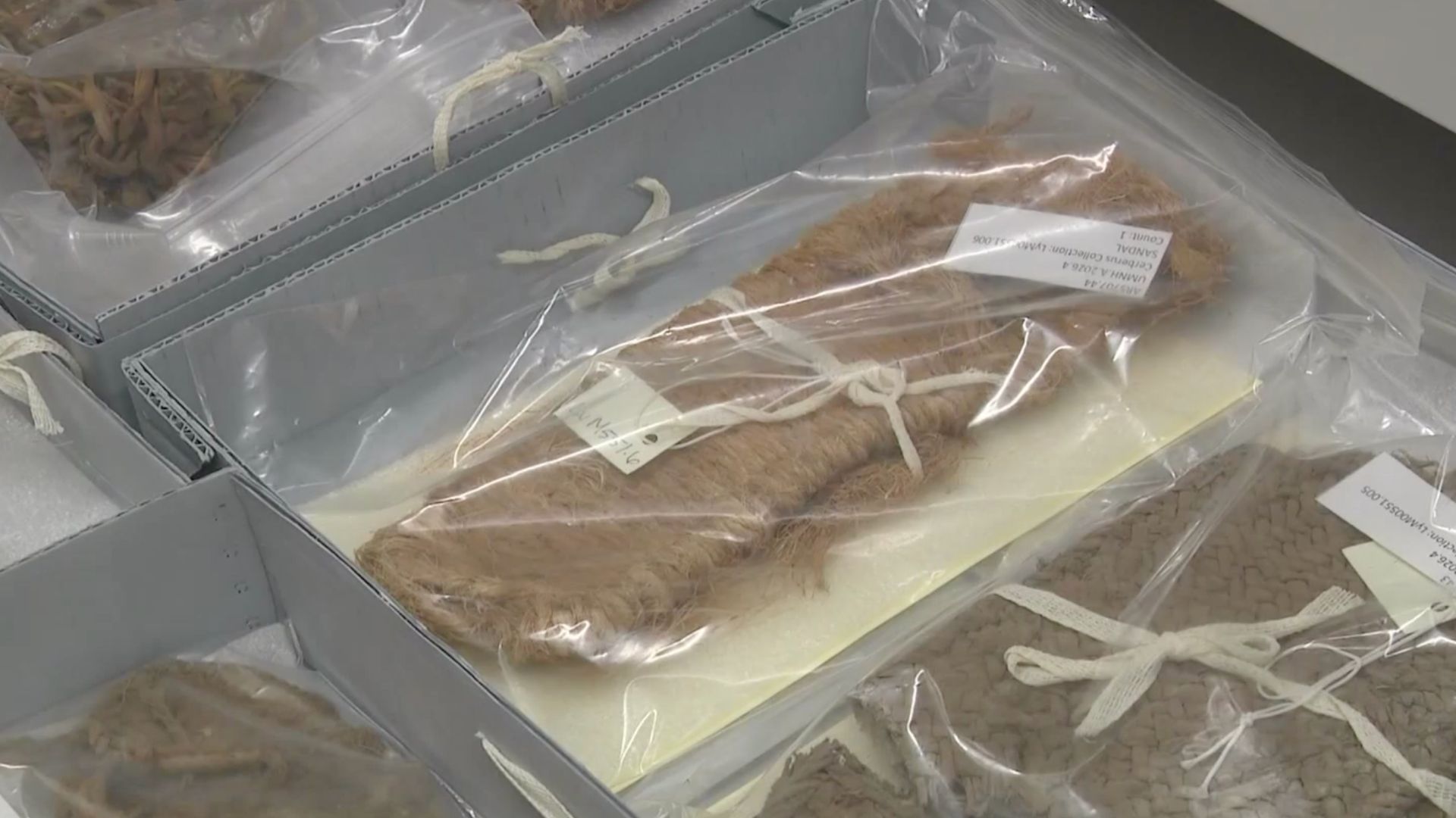 Indigenous cultural objects, once illegally taken from public land, tribal land and burial sites, are now being carefully preserved, catalogued and returned.