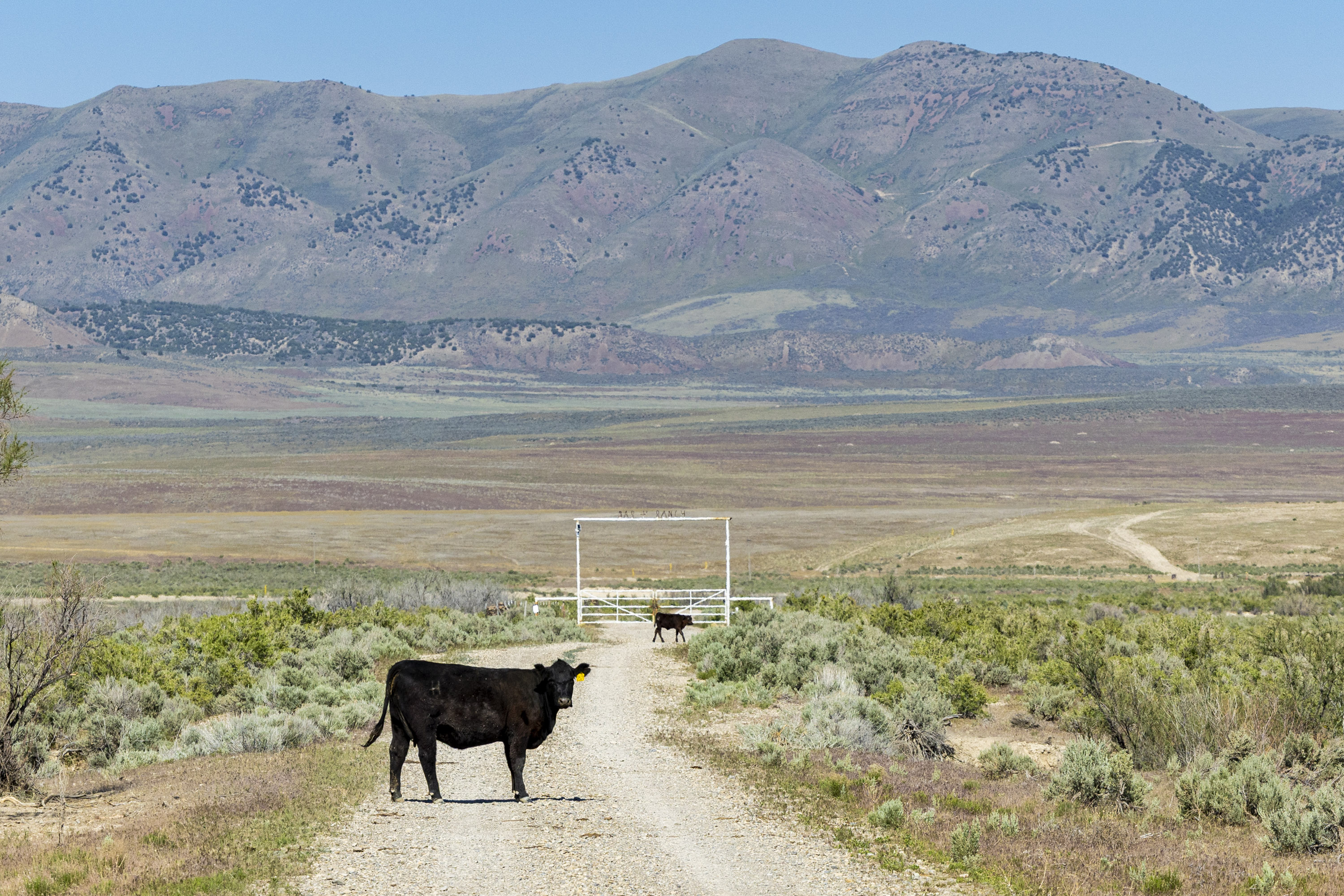 A new water rights application has been filed for the controversial Box Elder County data center proposal and new details about the initiative have emerged. Part of it would be developed in the Hansel Valley, pictured on May 12.