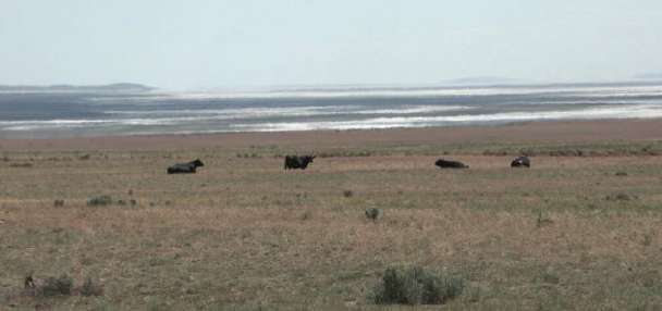 A look at what's inside and around Box Elder County's proposed Stratos data center site