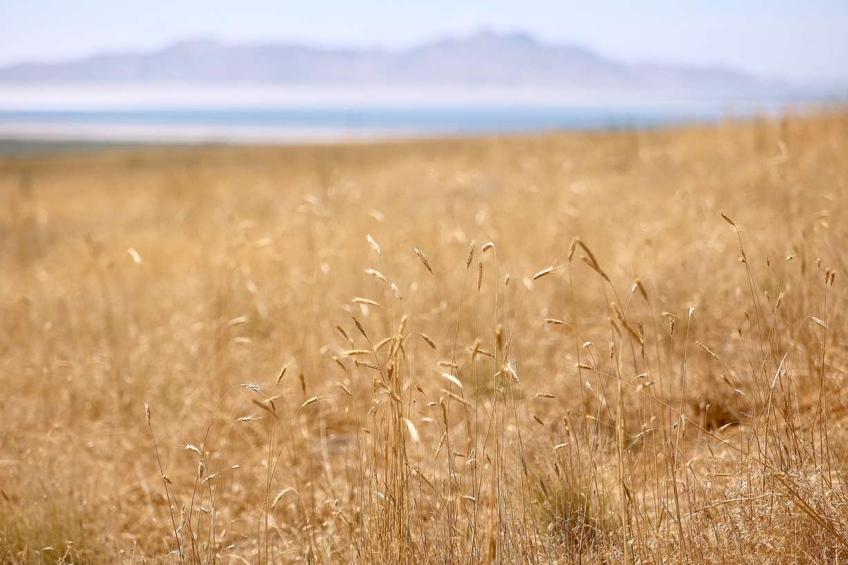 Bureau of Land Management land is pictured in Tooele County on Monday, July 7, 2025.
