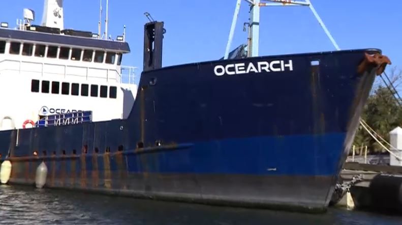 Sharks used as ocean sensors to aid hurricane research