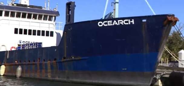 Sharks used as ocean sensors to aid hurricane research