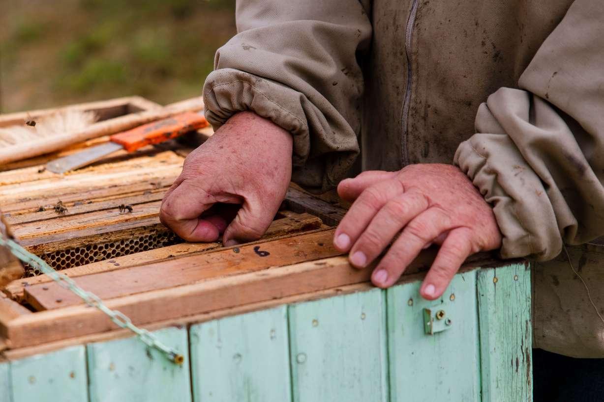 Why your next 'miracle supplement' should be a jar of raw honey